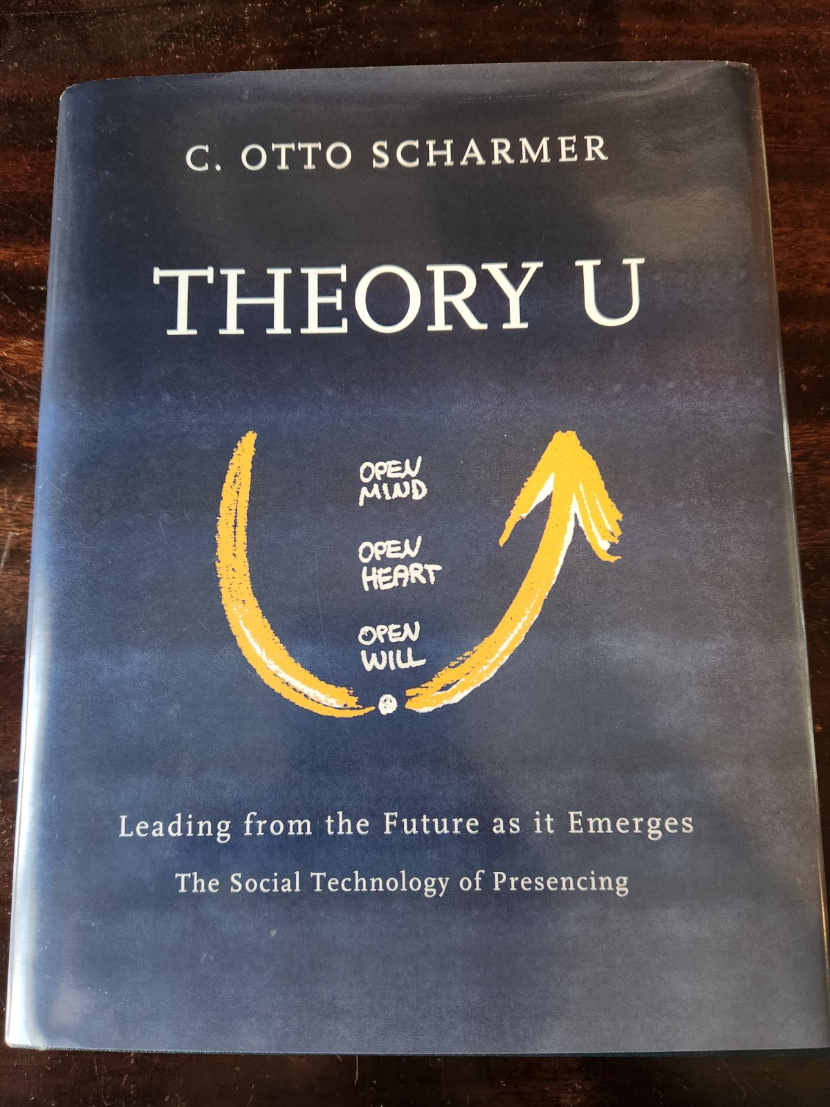 Cover of Theory U