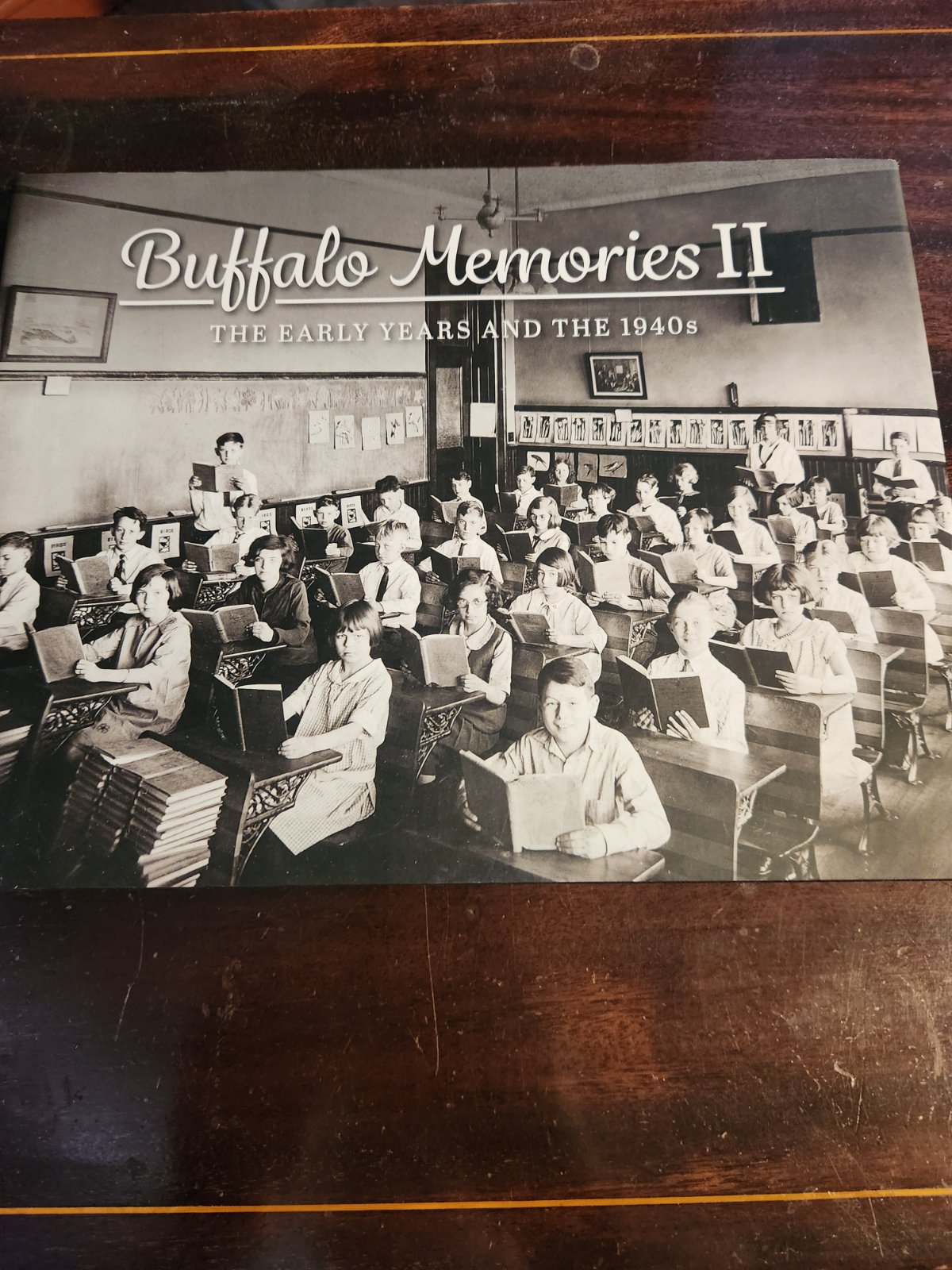 Cover of Buffalo Memories II