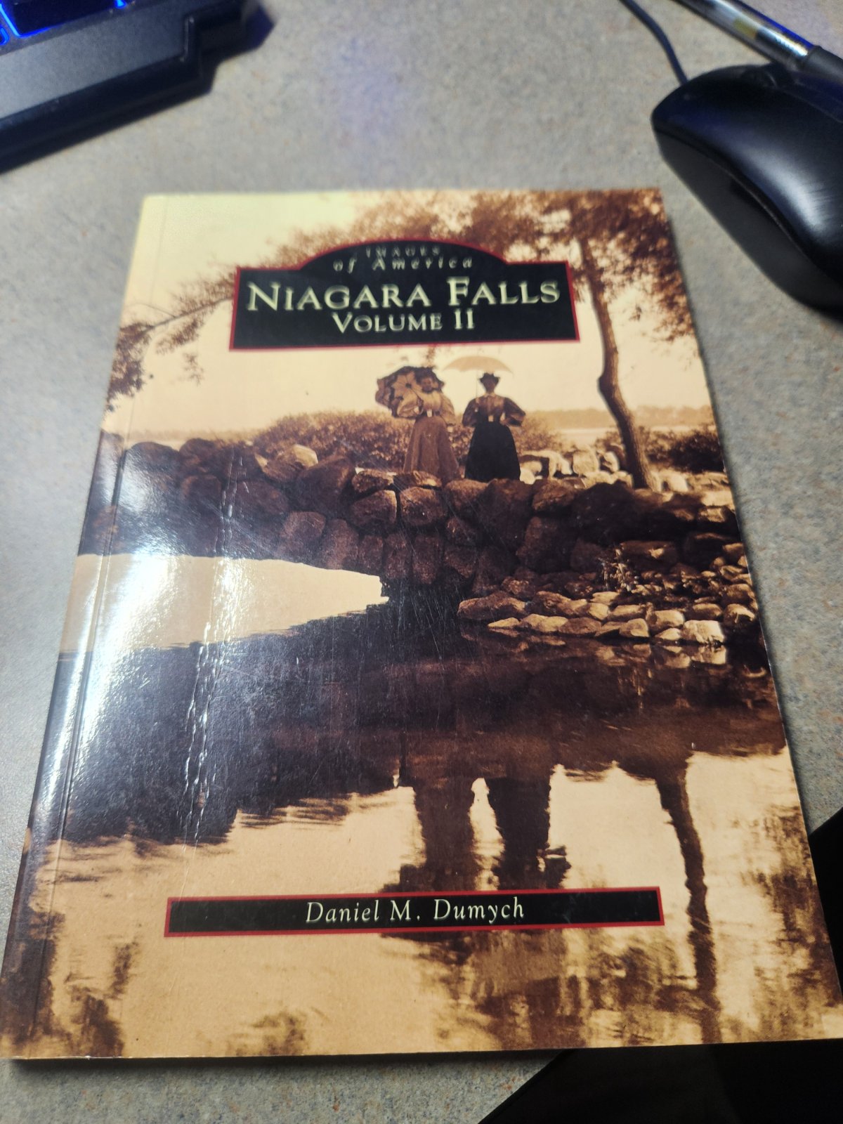 Cover of Niagara Falls