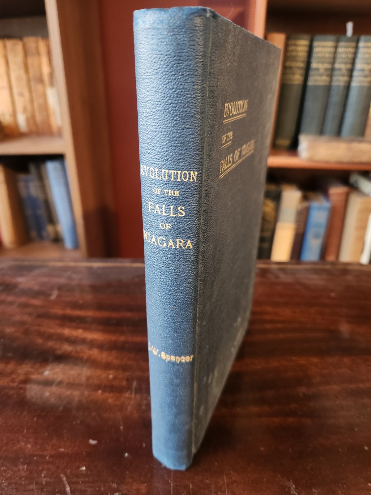 Cover of THE FALLS OF NIAGARA