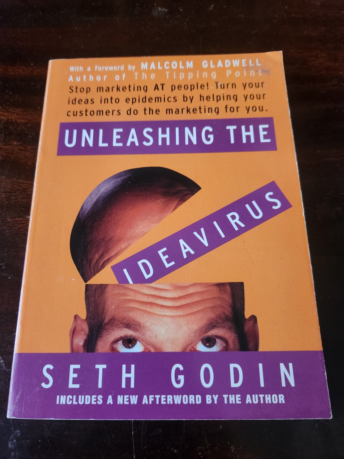 Cover of Unleashing the Ideavirus